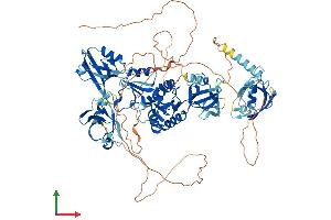 AlphaFold protein structure predicition of Mouse Recombinant Dlg2 Protein, UniprotID Q91XM9 (DLG2 Protein (AA 1-852) (His tag))