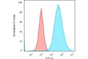 Flow Cytometric Analysis of MeOH-fixed MCF-7 cells using Cytokeratin 19 Mouse Monoclonal Antibody (KRT19/799) followed by Goat anti-Mouse IgG-CF488 (Blue); Isotype Control (Red). (Cytokeratin 19 antibody)