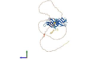 AlphaFold protein structure predicition of Mouse Recombinant Hnrnpa3 Protein, UniprotID Q8BG05