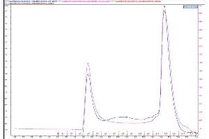Size-exclusion chromatography-High Pressure Liquid Chromatography (SEC-HPLC) image for Sodium Channel, Voltage-Gated, Type IX, alpha Subunit (SCN9A) (AA 1761-1988) protein (His tag) (ABIN3115050)