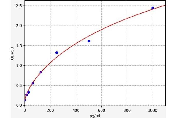 PAX8 ELISA Kit