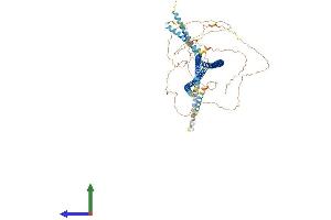 AlphaFold protein structure predicition of Mouse Recombinant Cep85 Protein, UniprotID Q8BMK0 (CEP85 Protein (AA 1-761) (His tag))