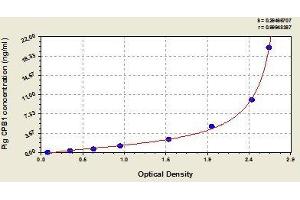 Typical standard curve (CPB1 ELISA Kit)