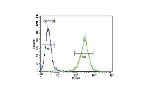 HSD17B12 Antibody (Center) (ABIN653300 and ABIN2842802) flow cytometric analysis of  cells (right histogram) compared to a negative control cell (left histogram). (HSD17B12 antibody  (AA 126-155))