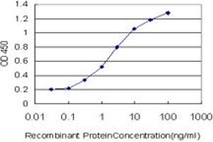 Detection limit for recombinant GST tagged MGC21874 is approximately 0. (TADA2B antibody  (AA 2-110))