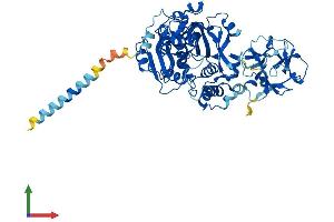 AlphaFold protein structure predicition of Mouse Recombinant Galnt13 Protein, UniprotID Q8CF93