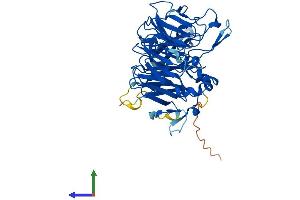 Protein Structure (PS) image for Protein Phosphatase 2, Regulatory Subunit B, beta (PPP2R2B) (AA 1-443) protein (His tag) (ABIN7551731)