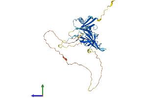 AlphaFold protein structure predicition of Mouse Recombinant Pard6a Protein, UniprotID Q9Z101 (PARD6A Protein (AA 1-346) (His tag))