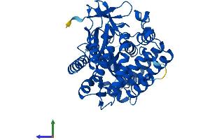 AlphaFold protein structure predicition of Mouse Recombinant Smyd3 Protein, UniprotID Q9CWR2 (SMYD3 Protein (AA 1-428) (His tag))