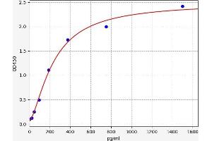 CX3CR1 ELISA Kit