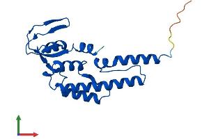 AlphaFold protein structure predicition of Mouse Recombinant Gins2 Protein, UniprotID Q9D600