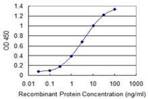 Detection limit for recombinant GST tagged TFB2M is 0. (TFB2M antibody  (AA 297-396))