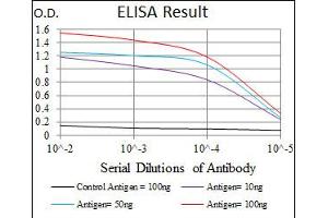 Image no. 1 for anti-Myeloproliferative Leukemia Virus Oncogene (MPL) antibody (ABIN1497161) (MPL antibody)