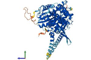 AlphaFold protein structure predicition of Human Recombinant STXBP3 Protein, UniprotID O00186