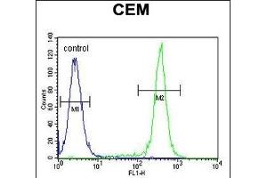 CCD Antibody (C-term) (ABIN654810 and ABIN2844484) flow cytometric analysis of CEM cells (right histogram) compared to a negative control cell (left histogram). (CCDC122 antibody  (C-Term))