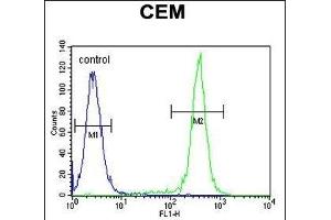 CCD Antibody (C-term) (ABIN654810 and ABIN2844484) flow cytometric analysis of CEM cells (right histogram) compared to a negative control cell (left histogram). (CCDC122 antibody  (C-Term))