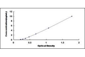 Typical standard curve (XBP1 ELISA Kit)
