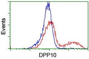 HEK293T cells transfected with either RC205435 overexpress plasmid (Red) or empty vector control plasmid (Blue) were immunostained by anti-DPP10 antibody (ABIN2455055), and then analyzed by flow cytometry. (DPP10 antibody)