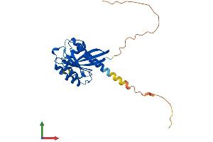 AlphaFold protein structure predicition of Human Recombinant RAB33A Protein, UniprotID Q14088