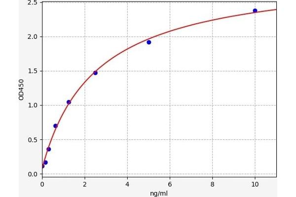 CNR1 ELISA Kit