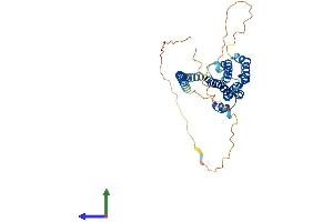 AlphaFold protein structure predicition of Mouse Recombinant Fbxo28 Protein, UniprotID Q8BIG4