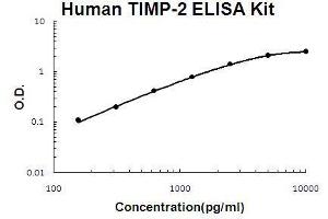 Human TIMP-2 PicoKine ELISA Kit standard curve (TIMP2 ELISA Kit)