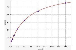 HCN2 ELISA Kit