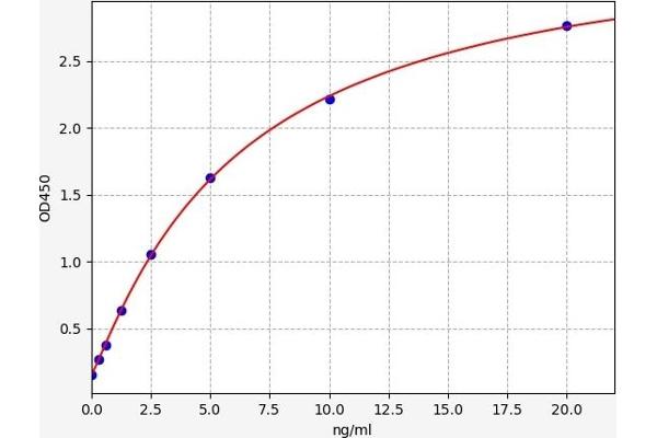 HCN2 ELISA Kit