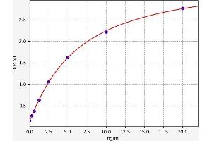 Typical standard curve (HCN2 ELISA Kit)