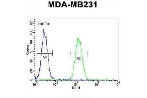 Flow Cytometry (FACS) image for anti-Syntaxin 7 (STX7) antibody (ABIN3002409) (Syntaxin 7 antibody)