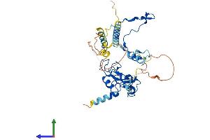 Protein Structure (PS) image for D4, Zinc and Double PHD Fingers, Family 3 (DPF3) (AA 1-378) protein (His tag) (ABIN7553738)