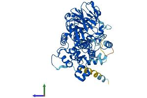 AlphaFold protein structure predicition of Human Recombinant FMO6P Protein, UniprotID O60774 (FMO6P Protein (AA 1-539) (His tag))