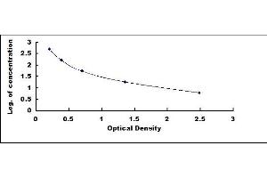 Typical standard curve
