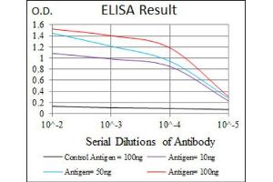 Red: Control Antigen (100ng) ; Purple: Antigen (10ng) ; Green: Antigen (50ng) ; Blue: Antigen (100ng). (TWF1 antibody  (AA 335-384))