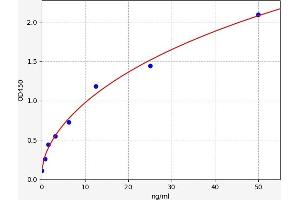 Typical standard curve (Very Low Density Lipoprotein (VLDL) ELISA Kit)