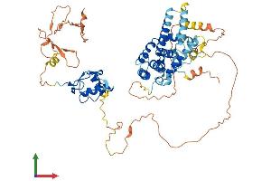 Protein Structure (PS) image for Nuclear Receptor Subfamily 2, Group C, Member 2 (NR2C2) (AA 1-596) protein (His tag) (ABIN7554749)