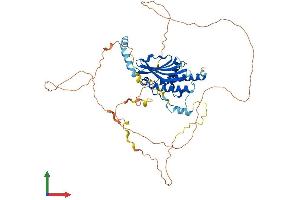 Protein Structure (PS) image for Autophagy Related 13 (ATG13) (AA 1-516) protein (His tag) (ABIN7560103)