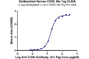Immobilized Biotinylated Human CD30 at 0. (TNFRSF8 Protein (AA 19-379) (His-Avi Tag,Biotin))