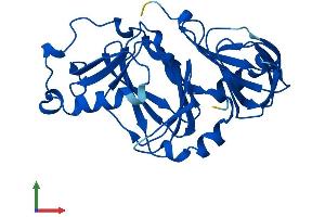 AlphaFold protein structure predicition of Mouse Recombinant Haao Protein, UniprotID Q78JT3 (HAAO Protein (AA 1-286) (His tag))