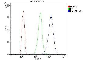 Flow Cytometry analysis of A431 cells using anti-Ran antibody (ABIN5518950).