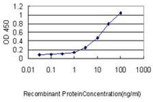 Detection limit for recombinant GST tagged TFEB is approximately 0. (TFEB antibody  (AA 1-476))