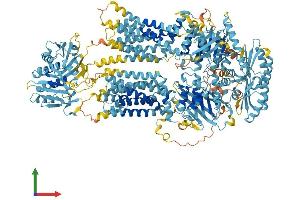 AlphaFold protein structure predicition of Mouse Recombinant Abca9 Protein, UniprotID Q8K449