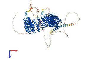 AlphaFold protein structure predicition of Mouse Recombinant Ppp4r4 Protein, UniprotID Q8C0Y0 (PPP4R4 Protein (AA 1-875) (His tag))