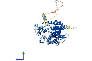 AlphaFold protein structure predicition of Mouse Recombinant Manea Protein, UniprotID Q6NXH2 (MANEA Protein (AA 1-462) (His tag))