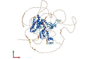AlphaFold protein structure predicition of Mouse Recombinant Cbl Protein, UniprotID P22682 (CBL Protein (AA 1-913) (His tag))