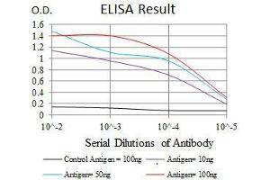 Black line: Control Antigen (100 ng), Purple line: Antigen(10 ng), Blue line: Antigen (50 ng), Red line: Antigen (100 ng), (RAP1A antibody)