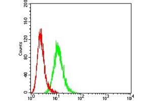 Flow Cytometry (FACS) image for anti-Keratin 6A (KRT6A) (AA 253-352) antibody (ABIN7193708)