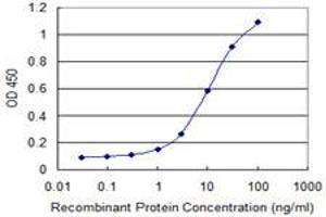 Detection limit for recombinant GST tagged PPP2R3B is 0. (PPP2R3B antibody  (AA 1-176))