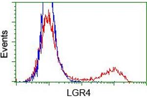 Image no. 2 for anti-Leucine-Rich Repeat Containing G Protein-Coupled Receptor 4 (LGR4) (AA 230-540) antibody (ABIN1491239)