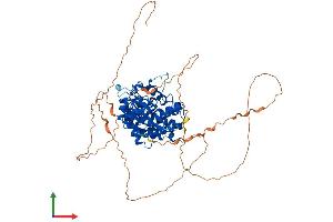 AlphaFold protein structure predicition of Mouse Recombinant Dyrk4 Protein, UniprotID Q8BI55 (DYRK4 Protein (AA 1-632) (His tag))